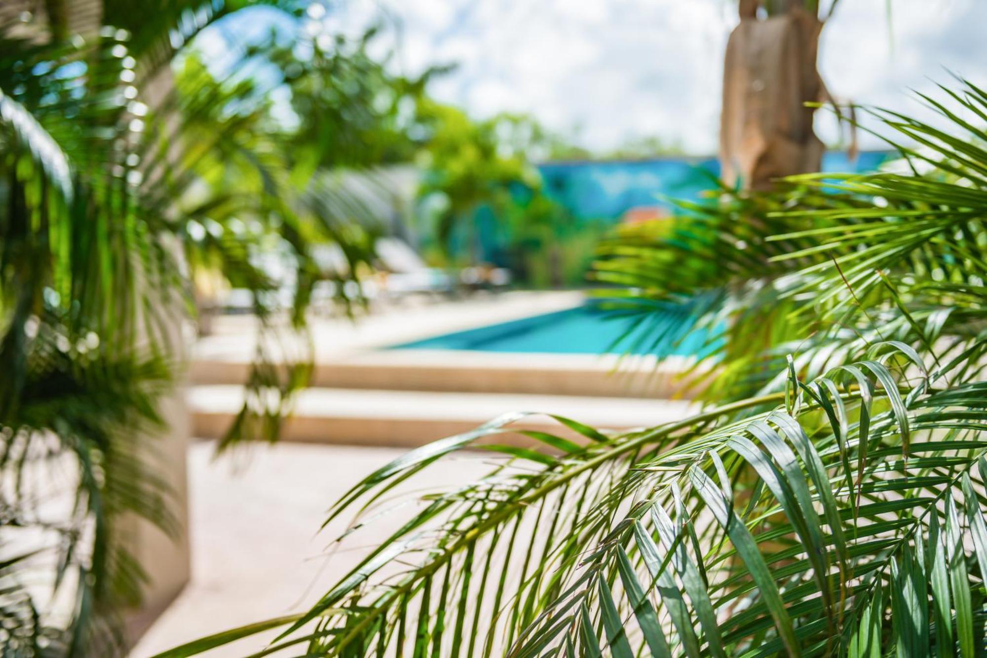 Casita Palma Boutique Resort คราเลนไดค์ ภายนอก รูปภาพ